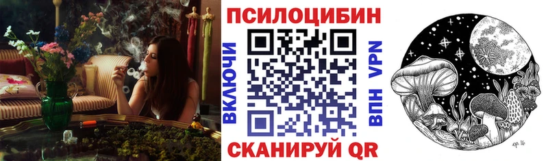 блэк спрут ссылки  Королёв  Псилоцибиновые грибы Magic Shrooms 