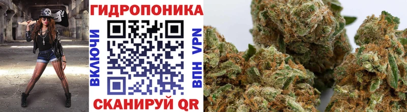Канабис план  Королёв 